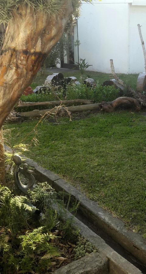 Hermanus Flower House Βίλα Εξωτερικό φωτογραφία